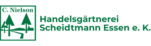 Scheidtmann Essen