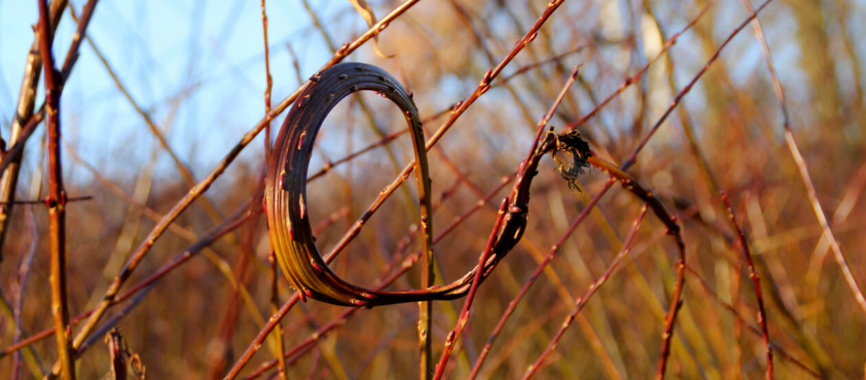 Herbst-Saison